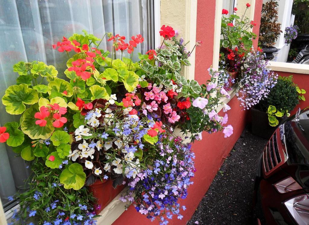 Achill House Hotel Cork Bagian luar foto
